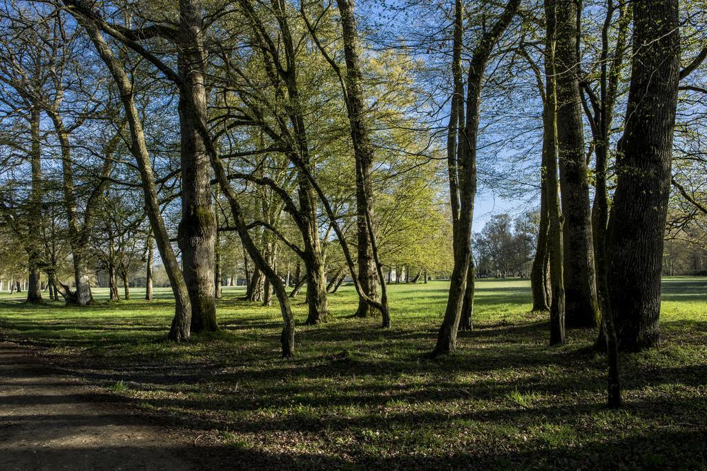 Chateau Des Briottieres Champigne Bagian luar foto