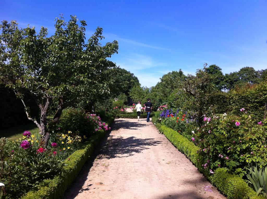 Chateau Des Briottieres Champigne Bagian luar foto